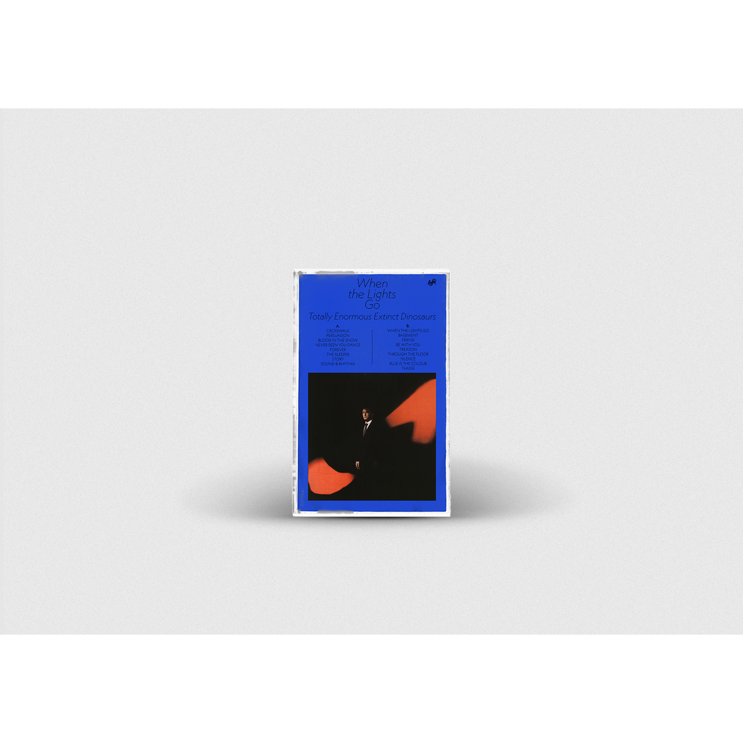When The Lights Go Cassette