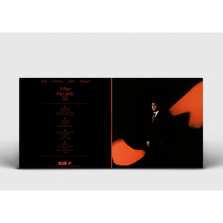 When The Lights Go (Black Vinyl)
